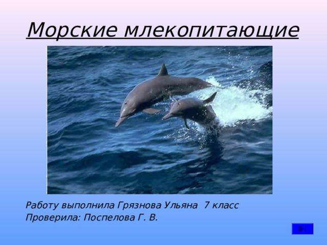 Морские млекопитающие Работу выполнила Грязнова Ульяна 7 класс Проверила: Поспелова Г. В. 