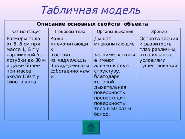 Табличная модель  Описание основных свойств объекта Сегментация Покровы тела Размеры тела от 3, 8 см при массе 1, 5 г у карликовой бе-лозубки до 30 м и даже более при массе около 150 т у синего кита.    Органы  дыхания Кожа млекопитающих   состоит из  надкожицы   ( эпидермиса ) и собственно  кожи . Зрение Дышат млекопитающие  легкими,  которые имеют альвеолярную структуру, благодаря которой дыхательная поверхность превосходит поверхность тела в 50 раз и более. Острота зрения и развитость глаз различны, что связано с условиями существования. 