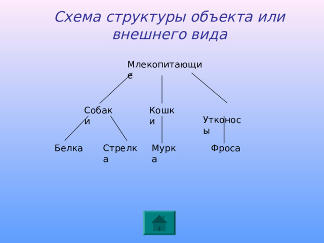 Схема структуры объекта или внешнего вида Млекопитающие Собаки Кошки Утконосы Белка Стрелка Мурка Фроса 