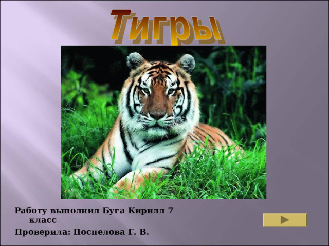 Работу выполнил Буга Кирилл 7 класс Проверила: Поспелова Г. В. 