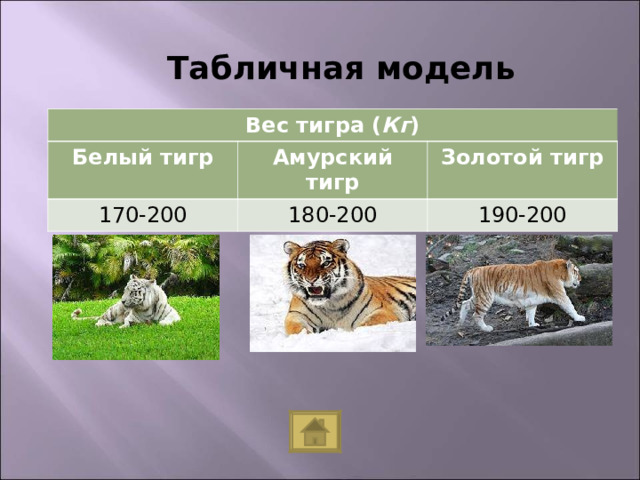 Табличная модель Вес тигра ( Кг ) Белый тигр Амурский тигр 170-200 180-200 Золотой тигр 190-200 