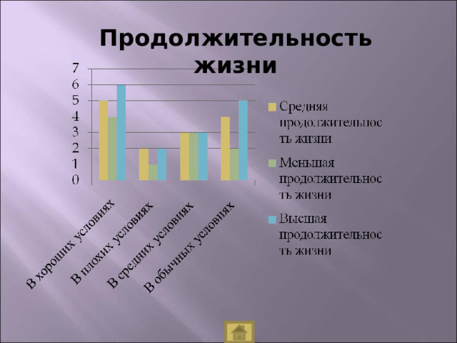 Продолжительность жизни 