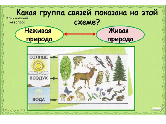 Презентация окружающий мир 2 класс невидимые нити