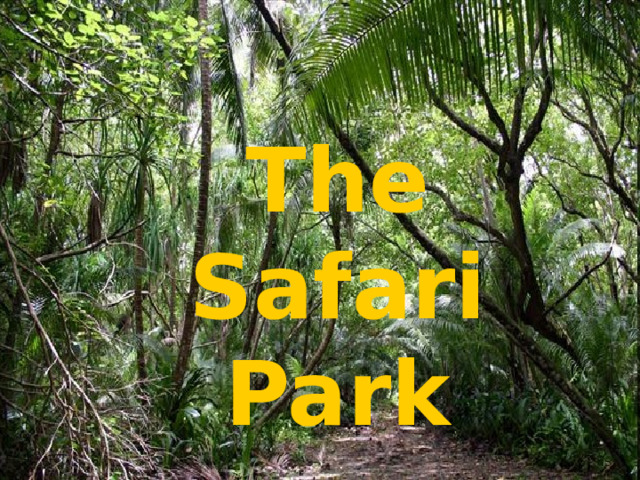 The Safari Park 