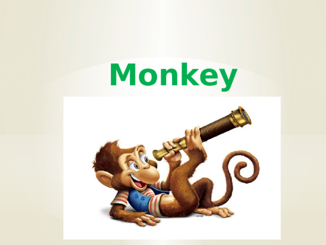  Monkey 