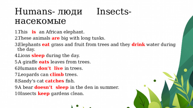 Humans- люди Insects- насекомые This   is an African elephant. These animals are  big with long tusks. Elephants eat  grass and fruit from trees and they drink  water during the day. Lions sleep during the day. A giraffe eats leaves from trees. Humans don’t live in trees. Leopards can climb trees. Sandy's cat catches fish. A bear doesn’t sleep in the den in summer. Insects keep gardens clean. 
