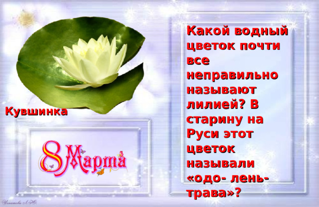 Какой водный цветок почти все неправильно называют лилией? В старину на Руси этот цветок называли «одо- лень-трава»?  Кувшинка 