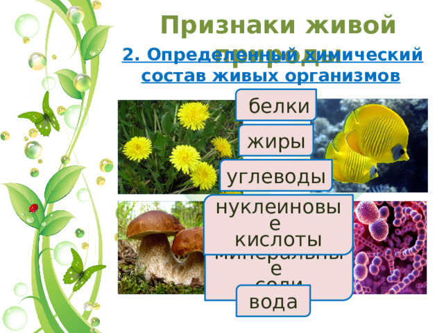 Из чего состоят живые организмы. Признаки живых организмов. Признаки живых организмов биология 5 класс. Признаки живых организмов биология ОГЭ. Что такое живой организм кратко.