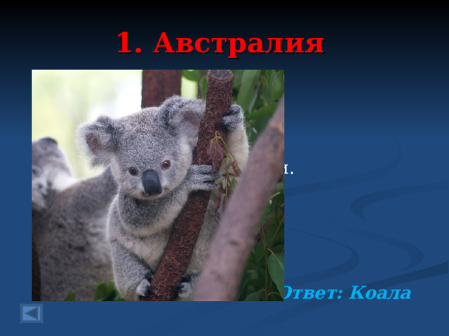 1. Австралия 40 баллов.   Эти сумчатые мишки Даже взрослые – малышки. Эвкалипт всегда жуют А воды совсем не пьют. Добротой своей ни мало Удивляет нас….  Ответ: Коала  