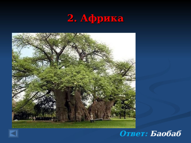 2. Африка 80 баллов.   В саванне дерева нет выше. Конечно же, о нем ты слышал. За тысячу лет он не ослаб Великолепный ….     Ответ: Баобаб   