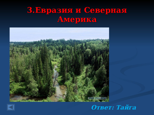 3.Евразия и Северная Америка 20 баллов.  Сосны, пихты, кедры, ели. Нам весной здесь птицы пели, А сейчас лежат снега Называют лес ….   Ответ: Тайга  