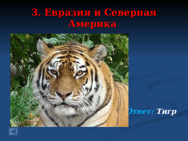 3. Евразия и Северная Америка 40 баллов.  Это кошка, но большая, Да зубастая такая, Не потерпит детских игр Уссурийский страшный ….. Ответ: Тигр   