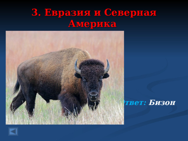 3. Евразия и Северная Америка 80 баллов.  Шерстью их покрыта кожа, На быков они похожи. Хоть и травку щиплет он, Но зовут его ….  Ответ: Бизон   