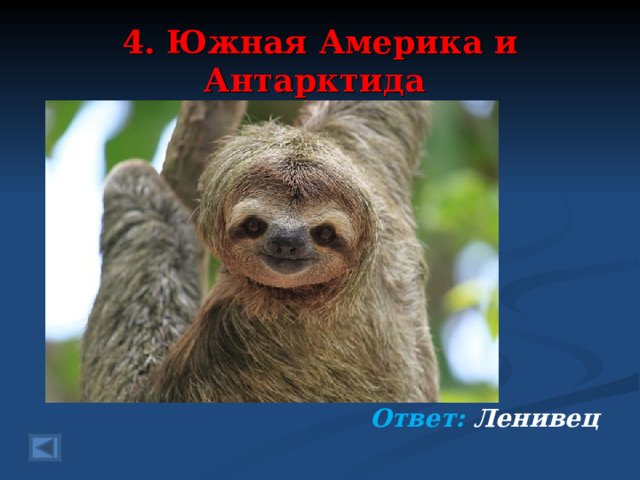 4. Южная Америка и Антарктида 20 баллов.   Он на дереве висит И на нас с тобой глядит. Ему нравится лениться Даже лень пошевелиться. Я, наверное, счастливец – Улыбнулся мне ….. Ответ: Ленивец  