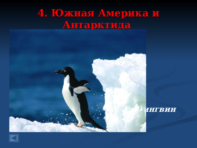 4. Южная Америка и Антарктида 80 баллов.  Птица здесь живет чудная, Совершенно не летает, Но ныряет как дельфин За рыбешкою …. Ответ: Пингвин   