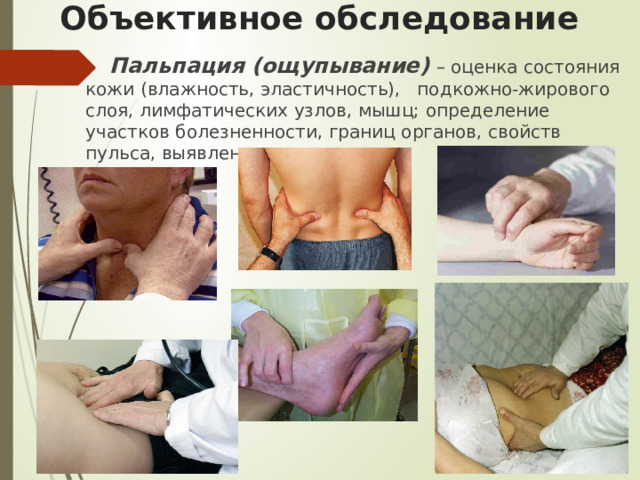 Объективное обследование Пальпация (ощупывание)  – оценка состояния кожи (влажность, эластичность), подкожно-жирового слоя, лимфатических узлов, мышц; определение участков болезненности, границ органов, свойств пульса, выявление отеков. 