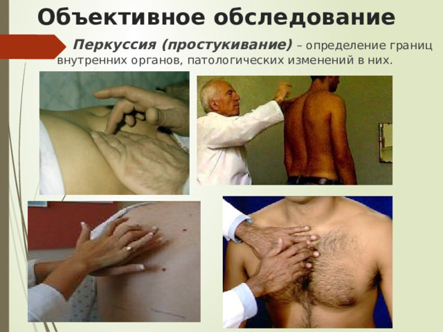 Объективное обследование Перкуссия (простукивание)  – определение границ внутренних органов, патологических изменений в них. 