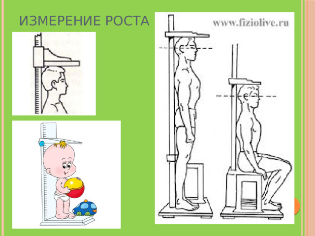 Измерение роста 