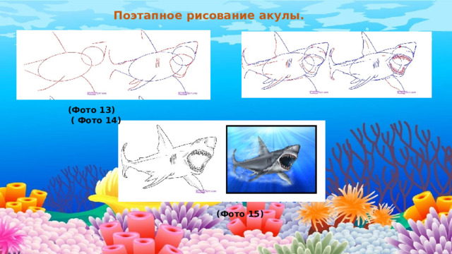 Поэтапное рисование акулы. (Фото 13) ( Фото 14)           (Фото 15) 