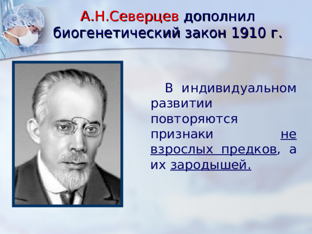 А.Н.Северцев дополнил биогенетический закон 1910 г.  В индивидуальном развитии повторяются признаки не взрослых предков , а их зародышей. 