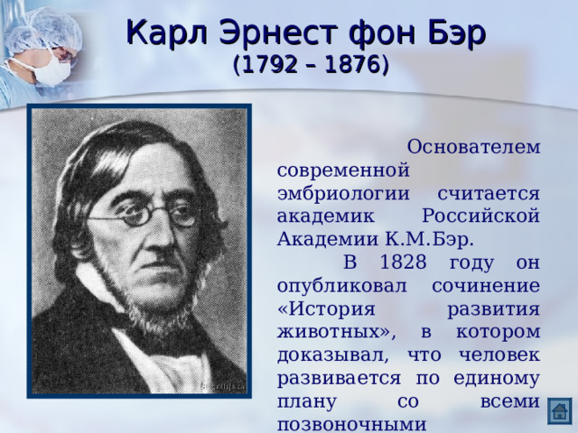 Карл Эрнест фон Бэр  (1792 – 1876)  Основателем современной эмбриологии считается академик Российской Академии К.М.Бэр.  В 1828 году он опубликовал сочинение «История развития животных», в котором доказывал, что человек развивается по единому плану со всеми позвоночными животными. 