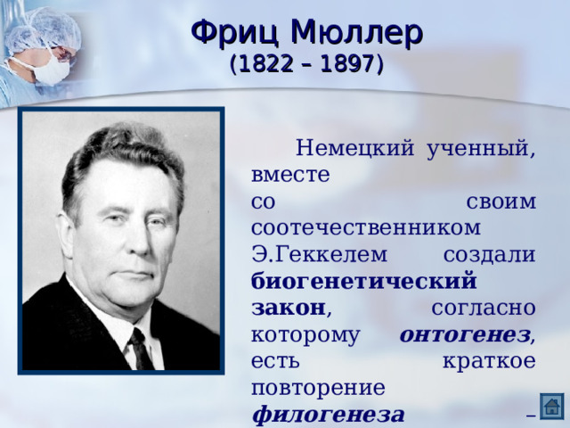 Фриц Мюллер  (1822 – 1897)  Немецкий ученный, вместе со своим соотечественником Э.Геккелем создали биогенетический закон , согласно которому онтогенез , есть краткое повторение филогенеза – исторического развития вида. 