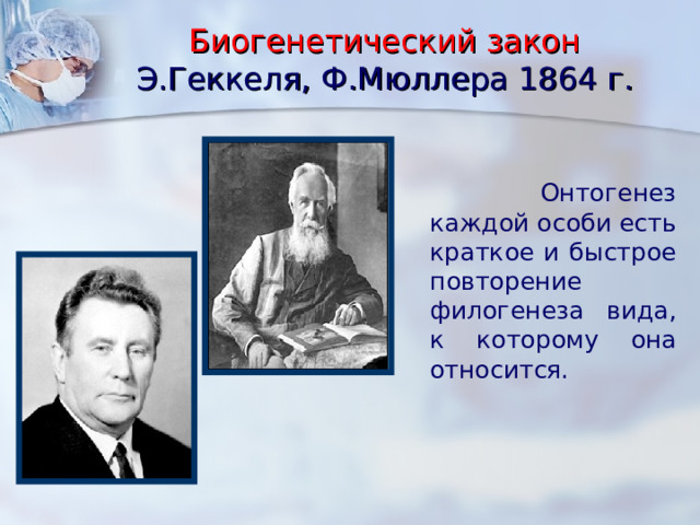 Биогенетический закон  Э.Геккеля, Ф.Мюллера 1864 г.  Онтогенез каждой особи есть краткое и быстрое повторение филогенеза вида, к которому она относится. 