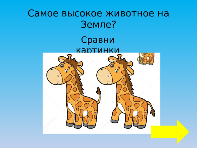 Самое высокое животное на Земле? Сравни картинки 
