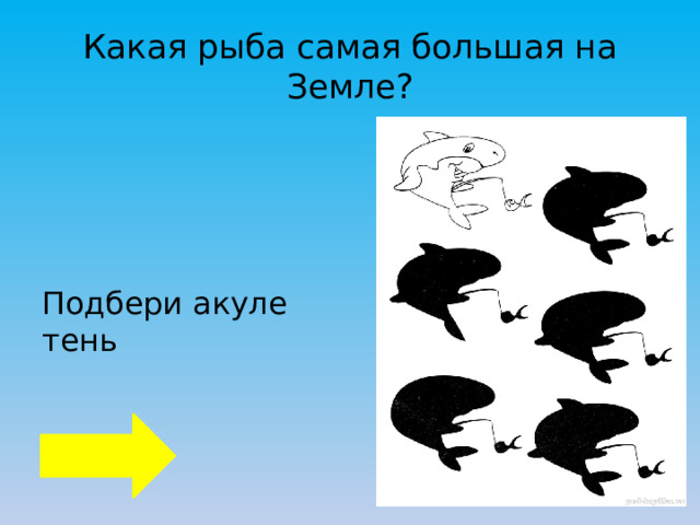 Какая рыба самая большая на Земле? Подбери акуле тень 