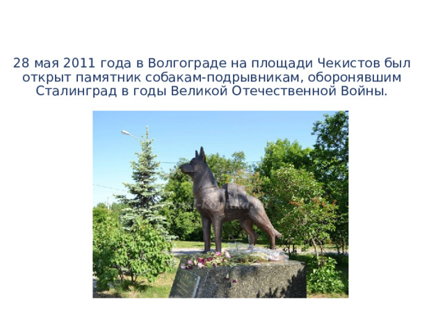  28 мая 2011 года в Волгограде на площади Чекистов был открыт памятник собакам-подрывникам, оборонявшим Сталинград в годы Великой Отечественной Войны. 