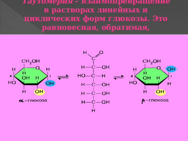 Таутомерия – взаимопревращение в растворах линейных и циклических форм глюкозы. Это равновесная, обратимая, самопроизвольная изомерия, 