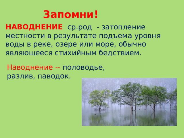 Запомни! НАВОДНЕНИЕ  ср.род - затопление местности в результате подъема уровня воды в реке, озере или море, обычно являющееся стихийным бедствием. Наводнение -- половодье, разлив, паводок.