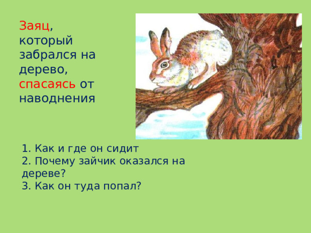 1. Как и где он сидит 2. Почему зайчик оказался на дереве? 3. Как он туда попал? Заяц , который забрался на дерево, спасаясь от наводнения