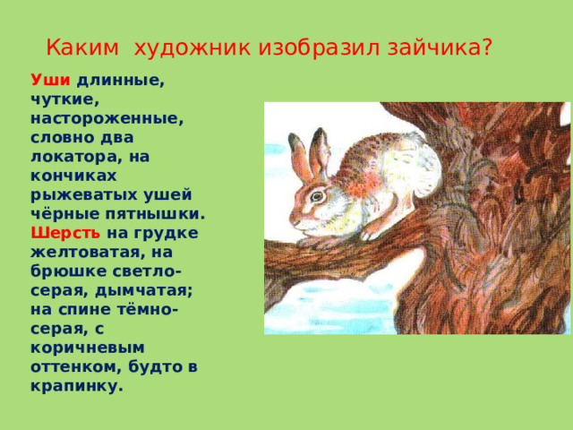 Комаров наводнение сочинение 5 класс по плану