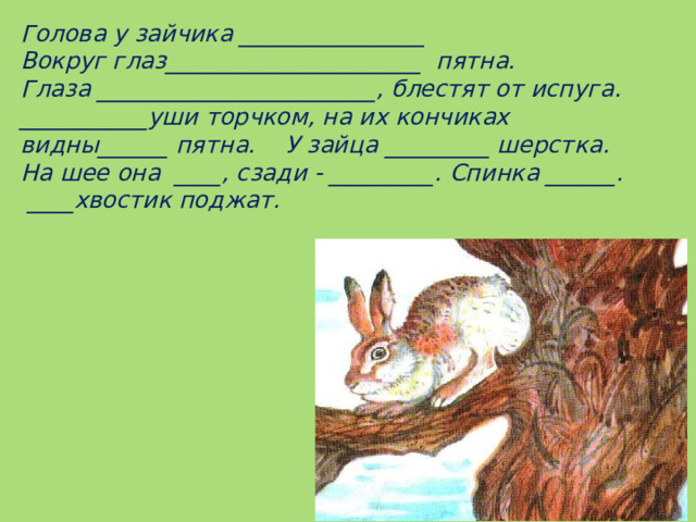 Голова у зайчика ________________ Вокруг глаз______________________ пятна. Глаза ________________________, блестят от испуга. ___________уши торчком, на их кончиках видны______ пятна. У зайца _________ шерстка. На шее она ____, сзади - _________. Спинка ______. ____хвостик поджат.