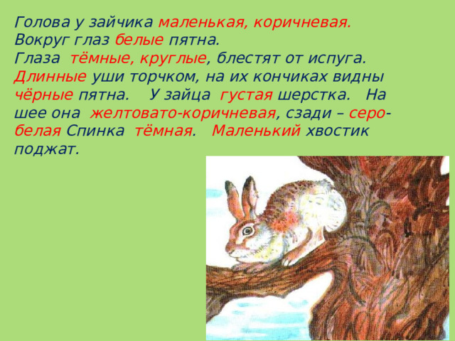 Комаров наводнение сочинение 5 класс по плану