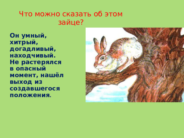 Что можно сказать об этом зайце? Он умный, хитрый, догадливый, находчивый. Не растерялся в опасный момент, нашёл выход из создавшегося положения .