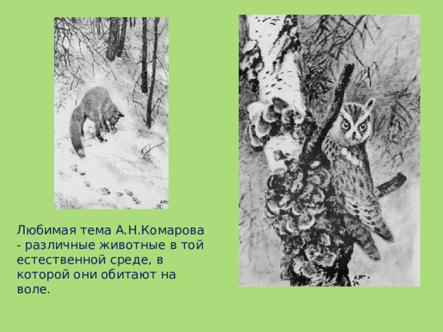   Любимая тема А.Н.Комарова - различные животные в той есте­ственной среде, в которой они обитают на воле.