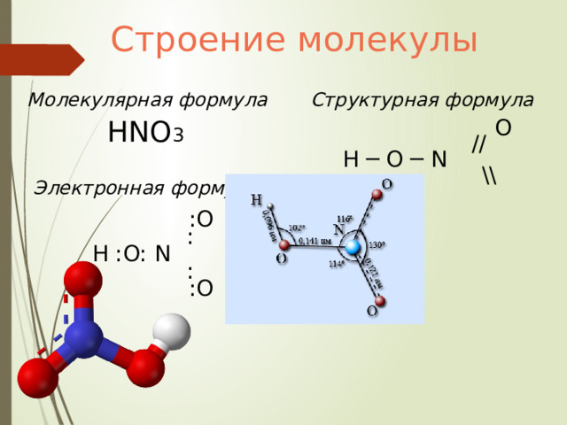 Строение молекулы Молекулярная формула Структурная формула  O  // H ─ O ─ N  \\  O HNO 3 Электронная формула  :O  : H :O: N  :  :O 