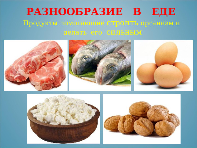 РАЗНООБРАЗИЕ В ЕДЕ Продукты помогающие строить организм и  делать его сильным 