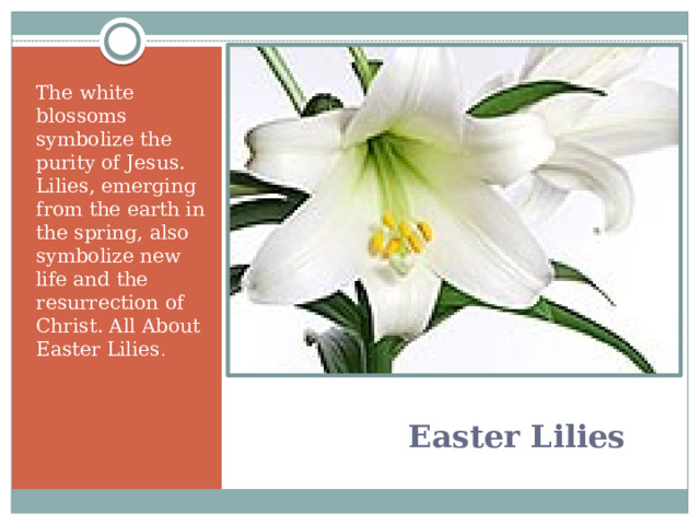 The white blossoms symbolize the purity of Jesus. Lilies, emerging from the earth in the spring, also symbolize new life and the resurrection of Christ. All About Easter Lilies .   Easter Lilies   