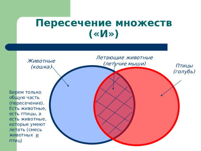 Пересечение множеств («И») Летающие животные (летучие мыши) Животные (кошка) Птицы (голубь) Берем только общую часть (пересечение). Есть животные, есть птицы, а есть животные, которые умеют летать (смесь животных и птиц) 