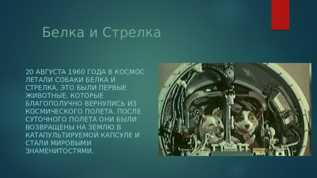 Белка и Стрелка 20 августа 1960 года в космос летали собаки Белка и Стрелка, это были первые животные, которые благополучно вернулись из космического полета. После суточного полета они были возвращены на Землю в катапультируемой капсуле и стали мировыми знаменитостями. 