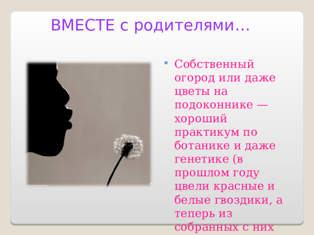 ВМЕСТЕ с родителями… Собственный огород или даже цветы на подоконнике — хороший практикум по ботанике и даже генетике (в прошлом году цвели красные и белые гвоздики, а теперь из собранных с них семян почему-то выросли розовые). 