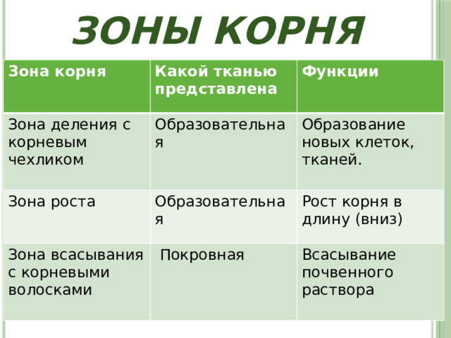 Зоны корня Зона корня Какой тканью представлена Зона деления с корневым чехликом Функции Образовательная Зона роста Образование новых клеток, тканей. Образовательная Зона всасывания с корневыми волосками Рост корня в длину (вниз)  Покровная Всасывание почвенного раствора 