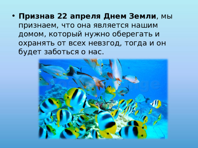 Признав 22 апреля Днем Земли , мы признаем, что она является нашим домом, который нужно оберегать и охранять от всех невзгод, тогда и он будет заботься о нас.  