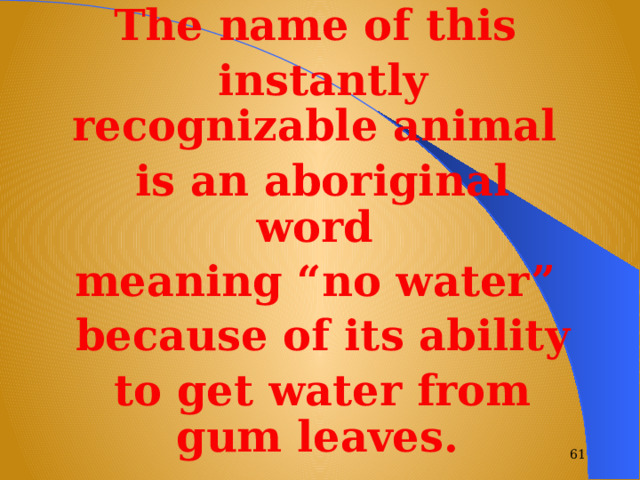 The name of this instantly recognizable animal is an aboriginal word meaning “no water” because of its ability to get water from gum leaves.   