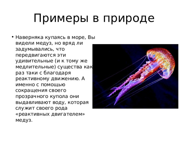 Примеры в природе Наверняка купаясь в море, Вы видели медуз, но вряд ли задумывались, что передвигаются эти удивительные (и к тому же медлительные) существа как раз таки с благодаря реактивному движению. А именно с помощью сокращения своего прозрачного купола они выдавливают воду, которая служит своего рода «реактивных двигателем» медуз. 