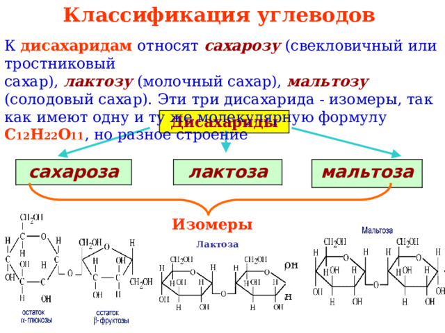 Классификация углеводов К  дисахаридам  относят  сахарозу  (свекловичный или тростниковый  сахар),  лактозу  (молочный сахар),  мальтозу  (солодовый сахар). Эти три дисахарида - изомеры, так как имеют одну и ту же молекулярную формулу С 12 Н 22 О 11 , но разное строение Дисахариды сахароза мальтоза лактоза Изомеры Лактоза он н 