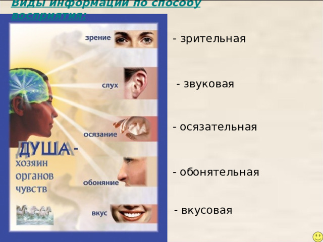 Виды информации по способу восприятия:  - зрительная - звуковая - осязательная - обонятельная - вкусовая